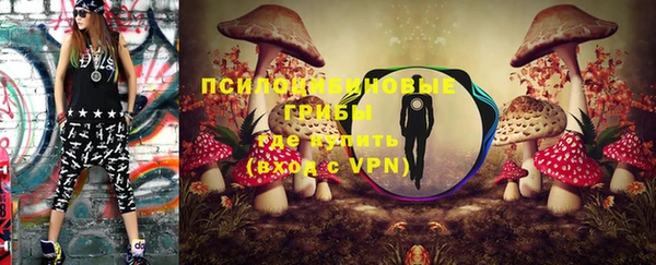 мдпв Новозыбков
