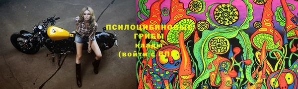 прущая мука Няндома