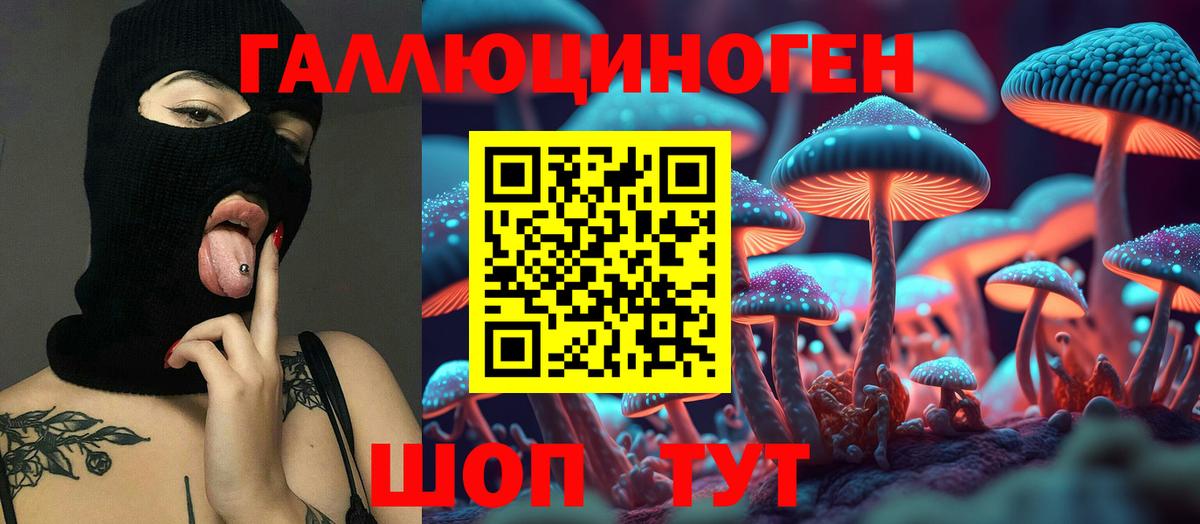 Галлюциногенные грибы Magic Shrooms  Вход с VPN  Галлюциногенные грибы Psilocybine cubensis  Прохладный 