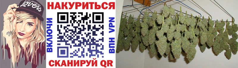 Конопля конопля Прохладный